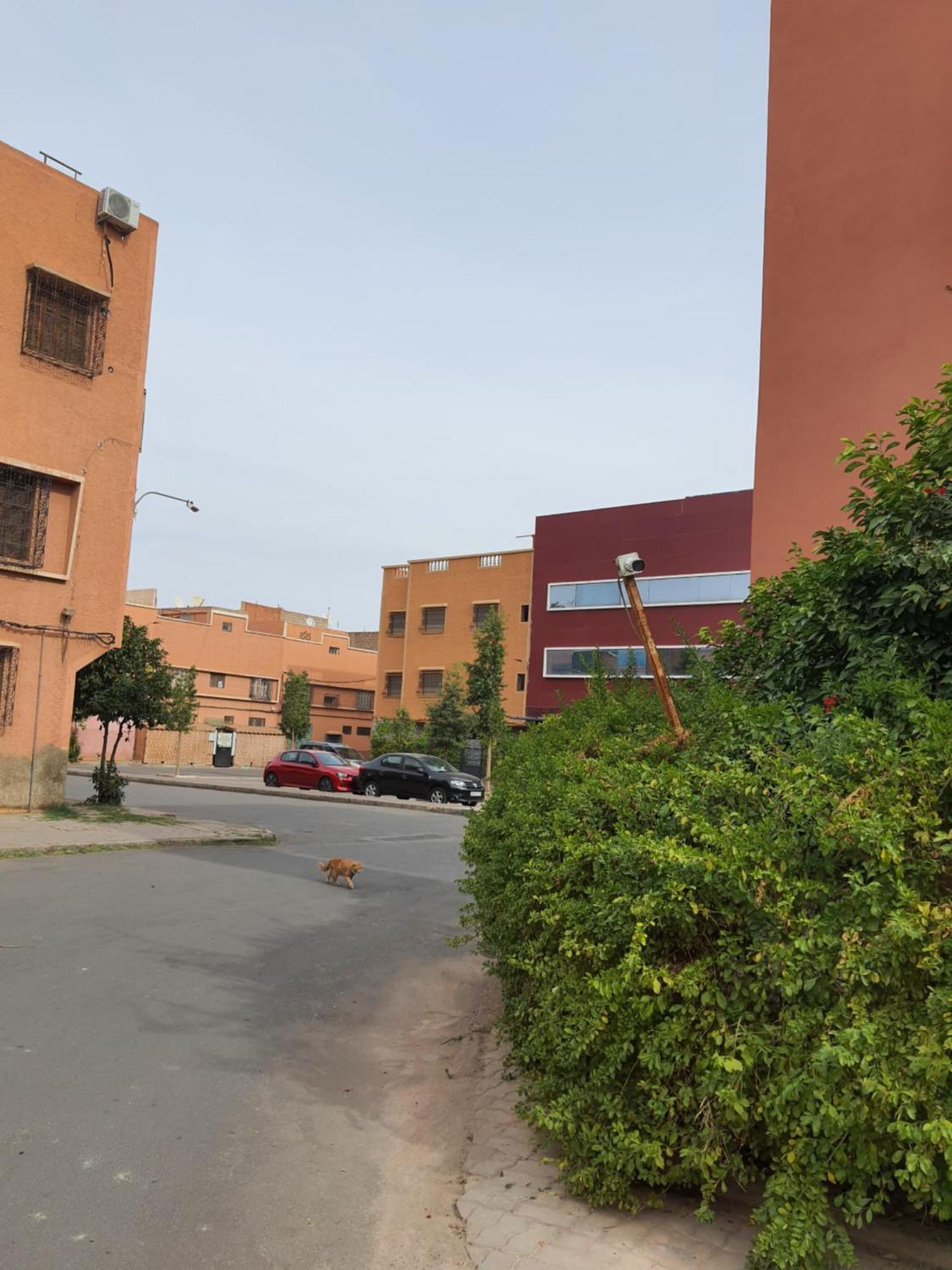 Апартаменты Marrakech Марракеш Экстерьер фото